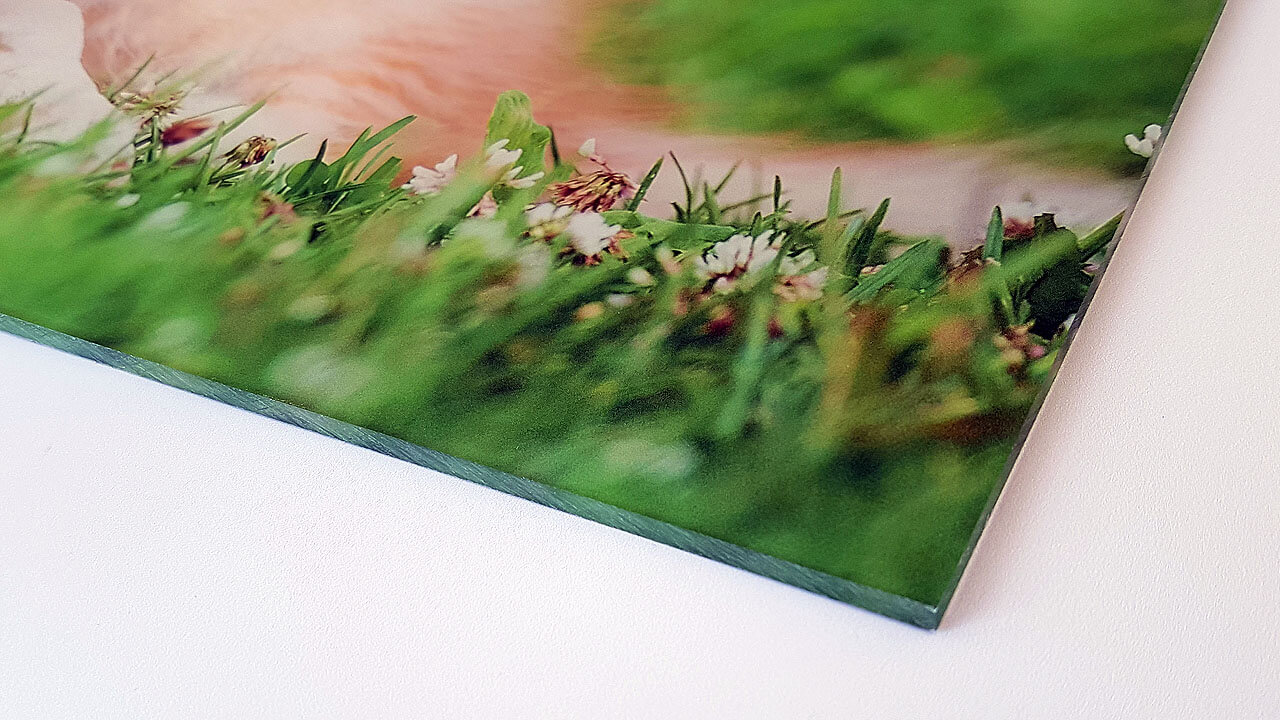 Hinterglasdruck auf transparenter Acrylplatte - ideal als hochwertiges Wandbild